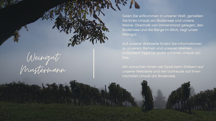 Schlechte Winzer Webseiten besser machen mit Online Marketing SEO