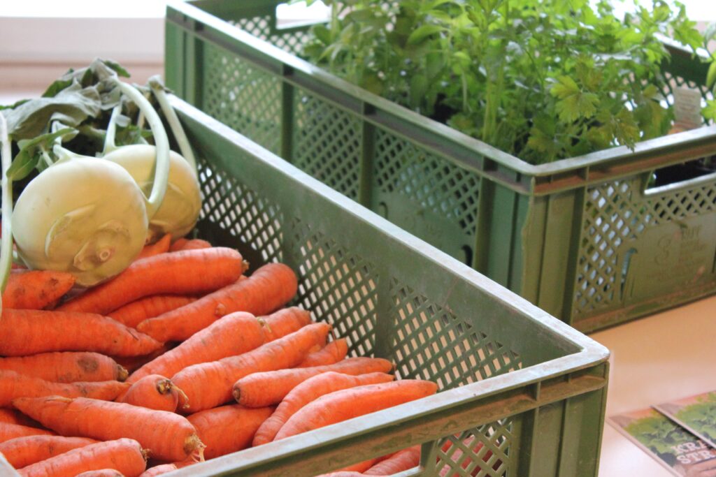 Bild von zwei Gemüsekisten. Eine ist mit Karotten und Kohlrabi gefüllt, die andere mit Kräutern.